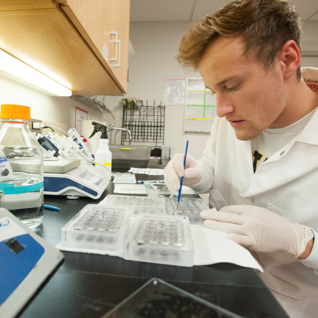 Programs, Centers, and Institutes | Psychological and Brain Sciences